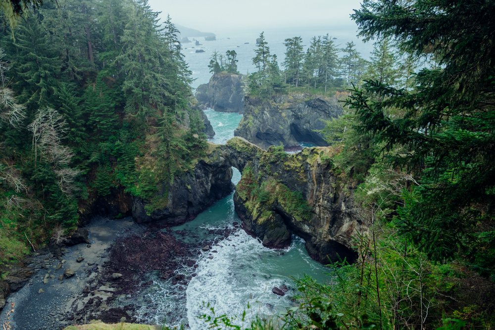 Natural rock bridge and forested coastal cliffs on Oregon's rugged coastline, Boardman State Scenic Corridor, USA.