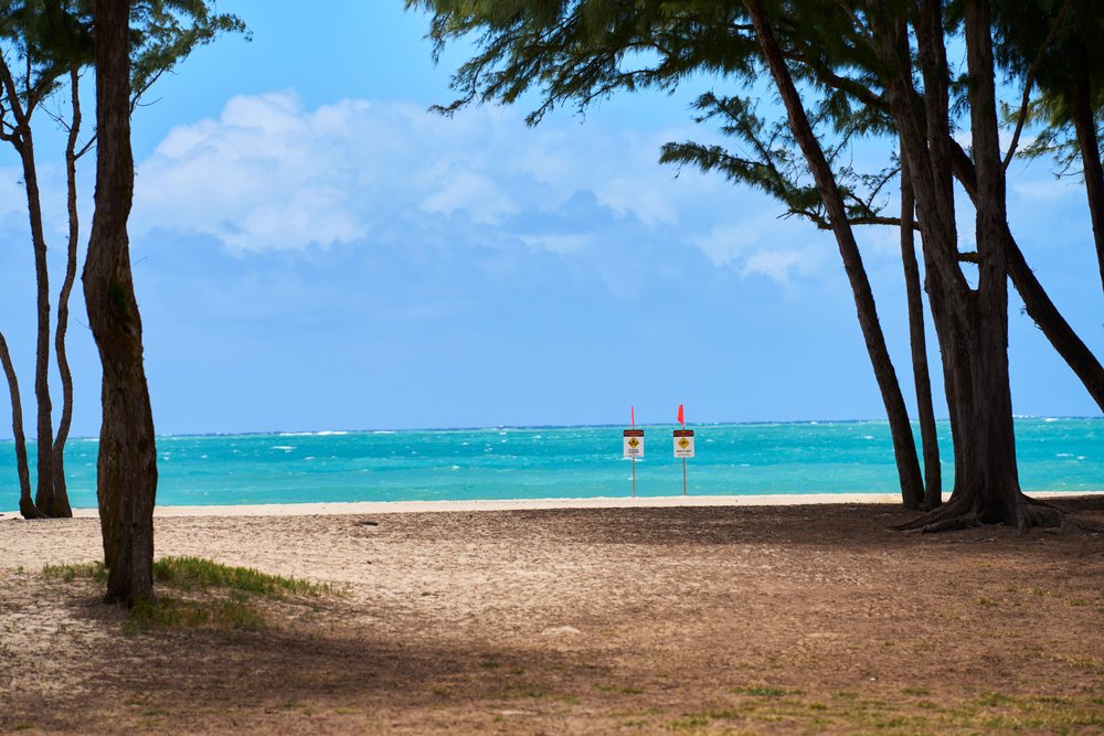 Beach shoreline with sand and tropical trees framing the ocean view under a blue sky, Hawaii, USA.