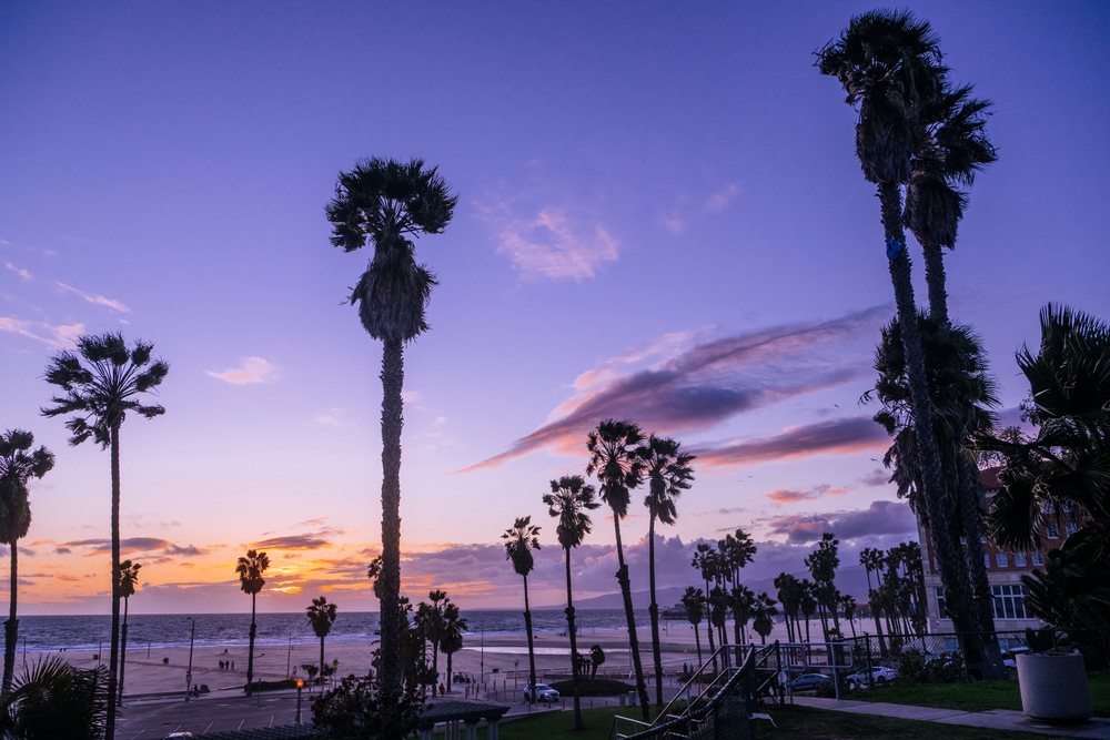 Sunset over Venice Beach with palm trees, ocean waves, sandy shoreline, and a distant pier under a purple sky in California, USA.