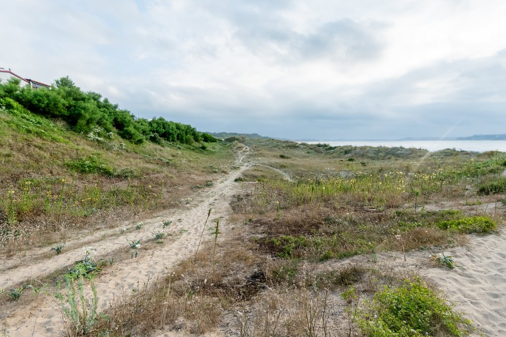 Coastal sandy path through grassy dunes leading to the sea under a cloudy sky, kids, Spain.