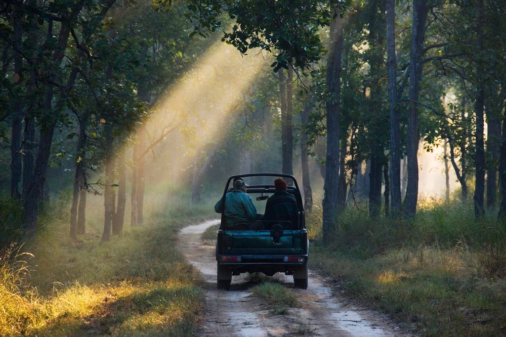 Two people riding in an open jeep on a forest dirt road with sunlight streaming through trees, Madhya Pradesh, India.