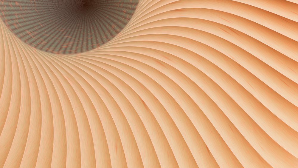 Curved concentric wood panels create a smooth decorative pattern highlighting natural grain texture.