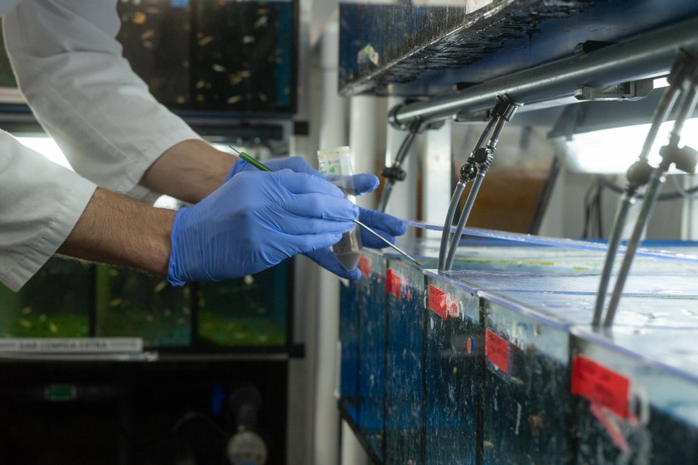 A scientist wearing blue gloves collects a water sample for testing from aquarium tanks in a research laboratory, Spain.