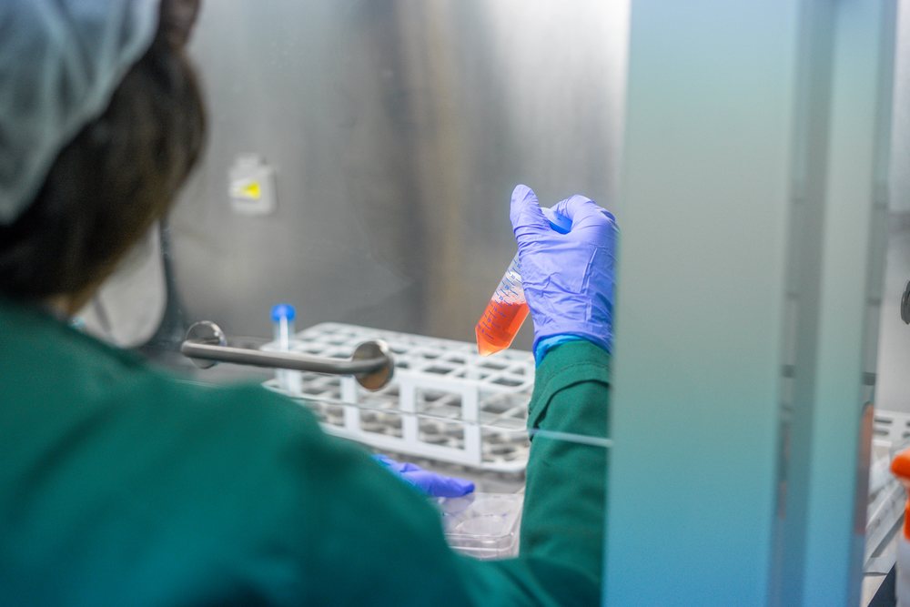 Scientist wearing protective blue gloves holds a plastic test tube with orange liquid in a laboratory, research, biology, Seville, Andalucía.