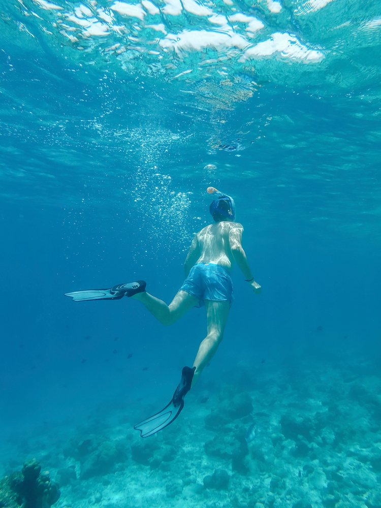 A man snorkeling above a coral reef in clear blue ocean water in the, Maldives.
