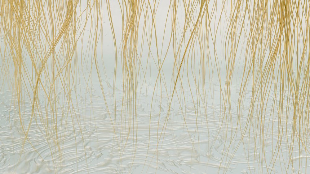 Thin strands of grass hang over gently rippling water surface creating delicate natural patterns and soft reflections.