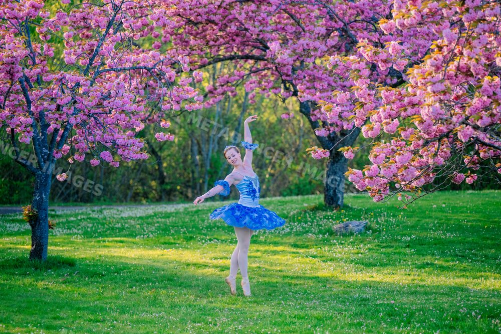 Ballerina in blue tutu dances gracefully
