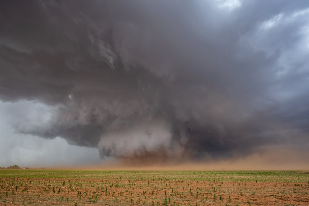 Monster Wedge Tornado with dust storm moves over a rural field, during severe storm chasing weather, Morton, Texas, USA.