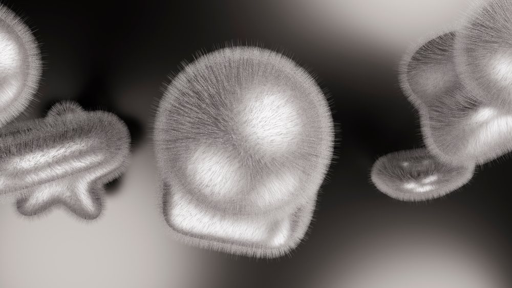Close-up illustration showing hairy mold fungus colonies with spores and textured biological growth.