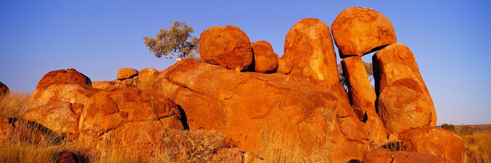 Devil's Marbles large red granite boulders with a small tree and dry grass in Northern Territory, Australia under a clear blue sky, Devil's Marbles Northern Territory.