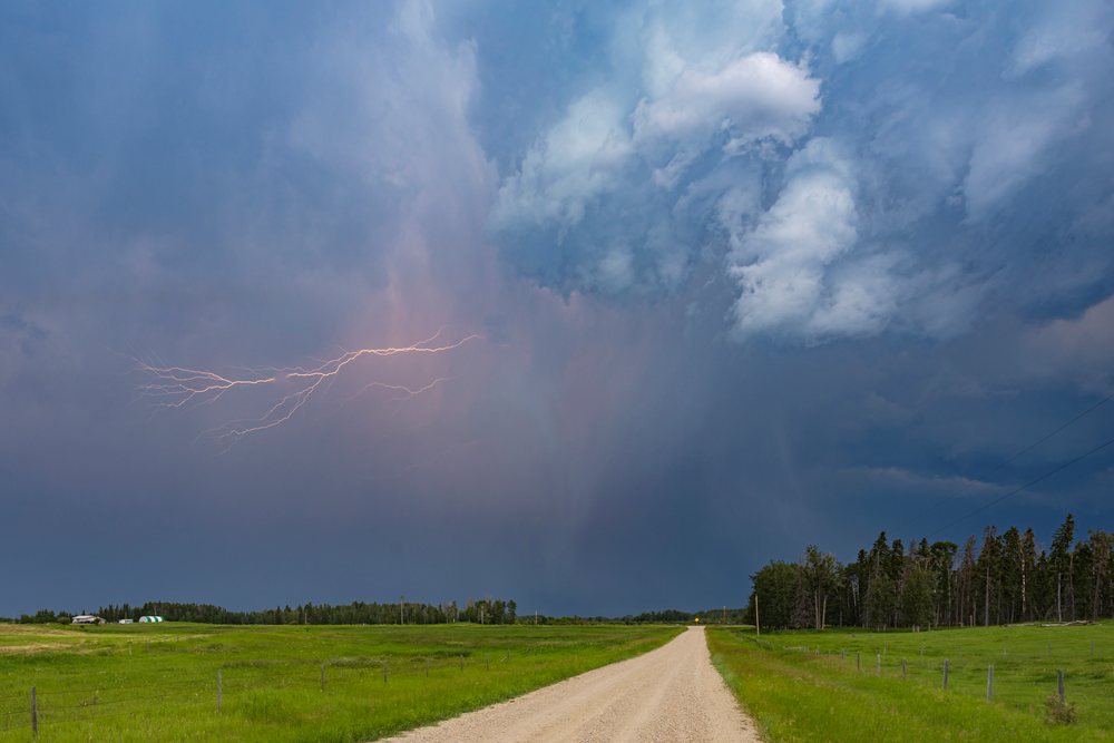 Lightning strikes over a rural farm road bordered by green grassland and a tree line under dark storm clouds, Storm Chasing, Weather, Environment, Ponoka County, Alberta, Canada.