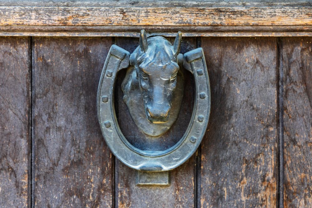 Metal horse head door knocker with horseshoe mounted on weathered wooden door, Travel Photography, Corte, Corsica, France.