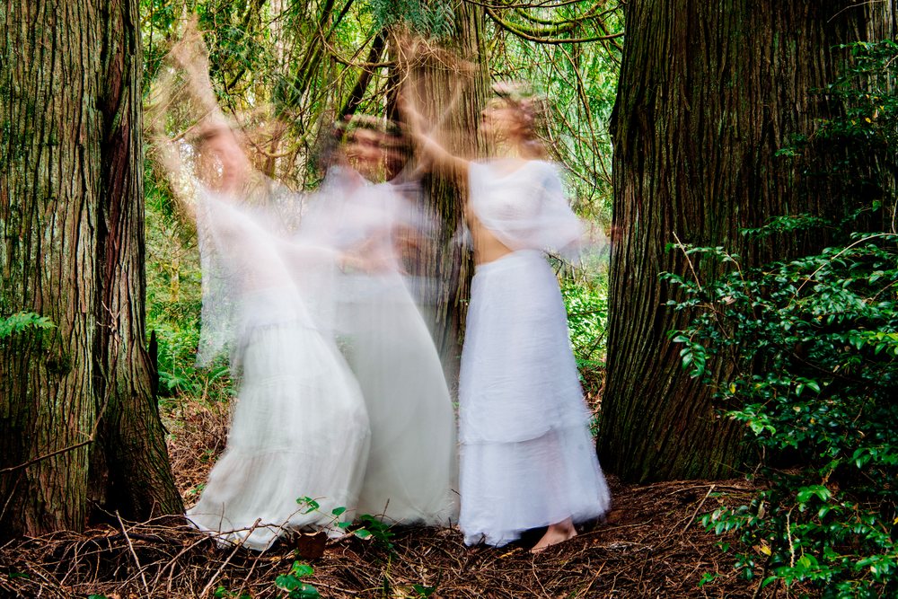 Three women in white dresses dance with motion blur among large tree trunks in a peaceful forest, muses, USA.