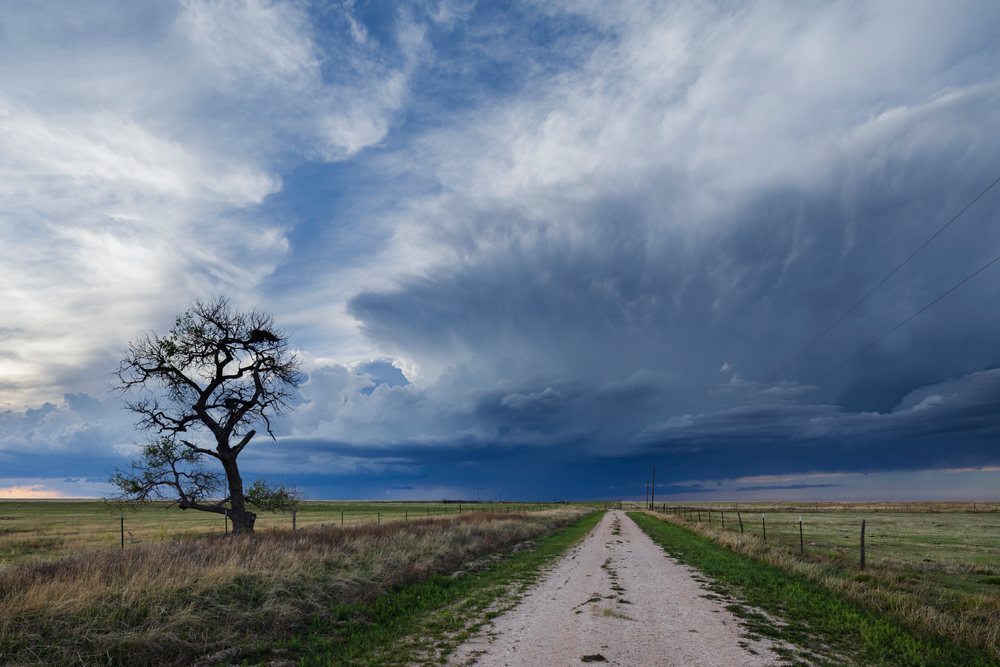 Storm System with large cumulonimbus cloud forming over a rural dirt road and grass field at sunset, Storm Chasing, Weather, Environment, Grenville, New Mexico, USA.