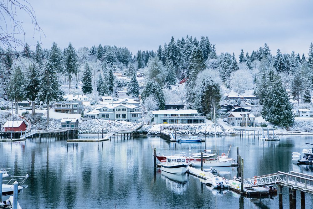 Boats docked in a marina with snow-covered houses and evergreen trees in winter, WA, USA.