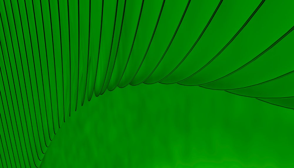 Close-up of a curved green palm leaf with slender leaflets and linear veins against a uniform green background.