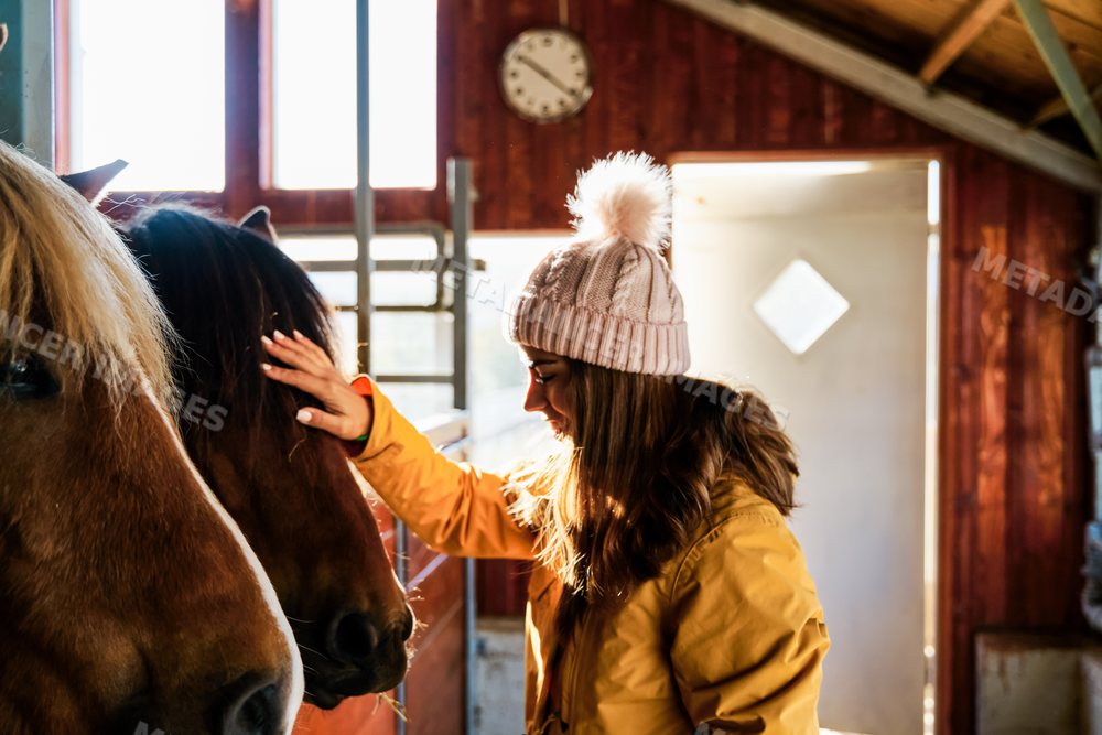 A white woman pets a horse inside a stable in Iceland