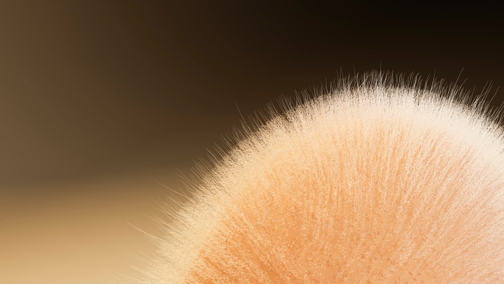 Close-up illustration shows an orange-beige mold colony with fine hyphae filaments and visible spores against a brown gradient background.