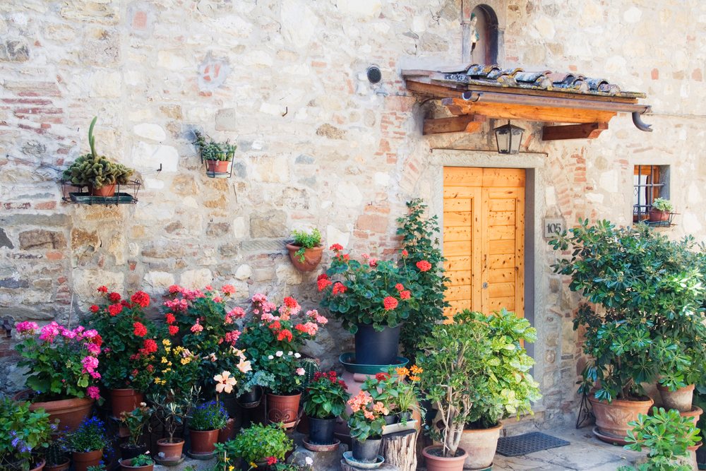 Potted plants including geraniums in terracotta pots outside a rustic stone building door, Tuscany, Italy.