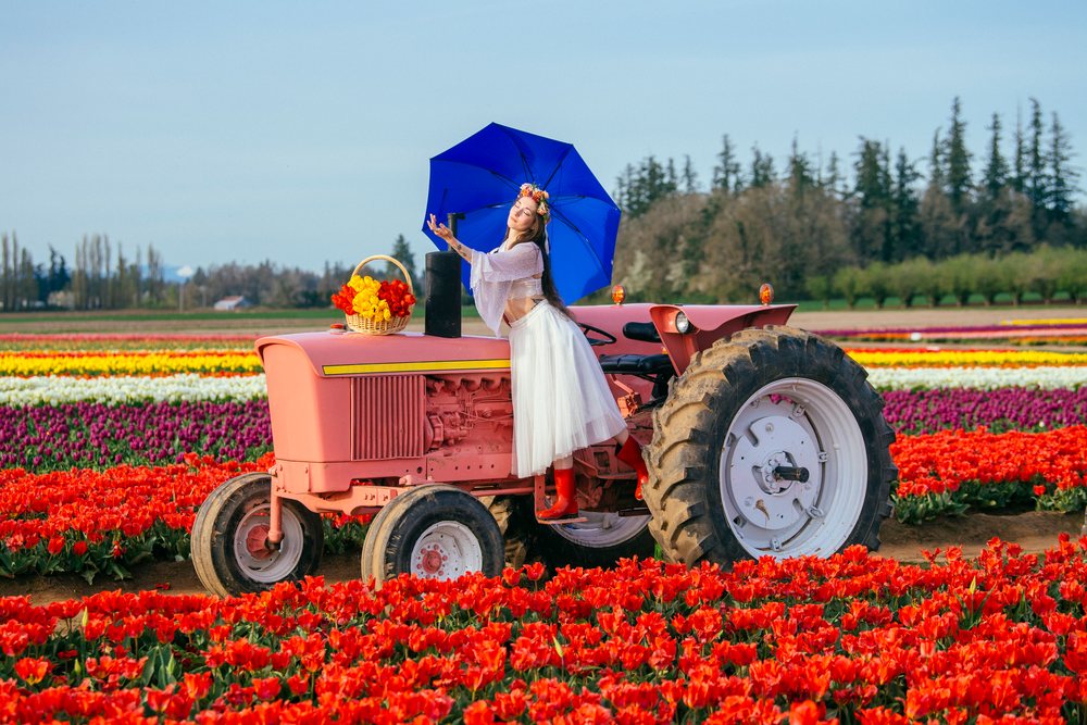 Woman wearing a flower crown and holding a blue umbrella seated on a pink tractor amid colorful tulip rows in a spring tulip field, USA.
