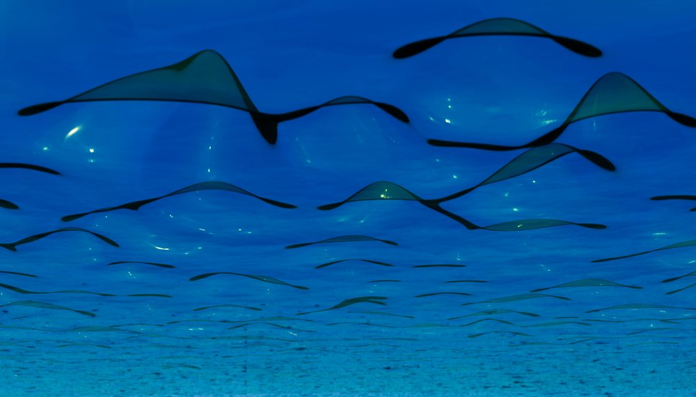 Transparent and curved plastic sheets with light reflections arranged in an abstract wave pattern on a blue surface.