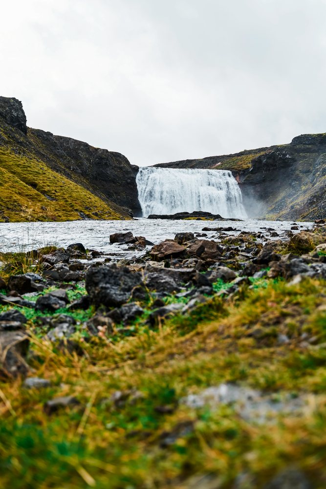 A waterfall cascades into a rocky river surrounded by green grassy terrain, Iceland.
