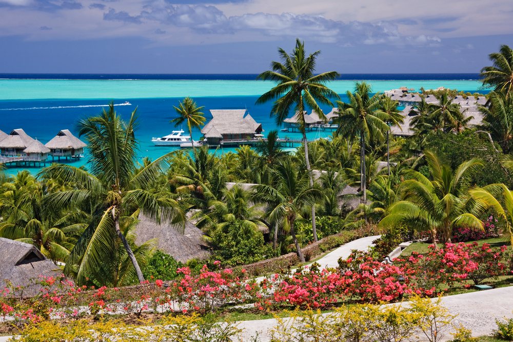 Resort featuring overwater bungalows with thatched roofs and palm trees beside turquoise ocean waters, Tahiti, French Polynesia, Oceania.