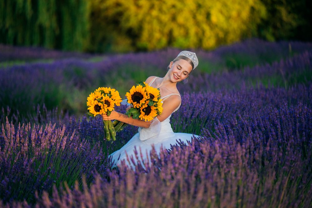 A smiling woman wearing a white dress and a tiara holds vibrant sunflower bouquets while sitting in a blooming lavender field at sunset, WA, USA.