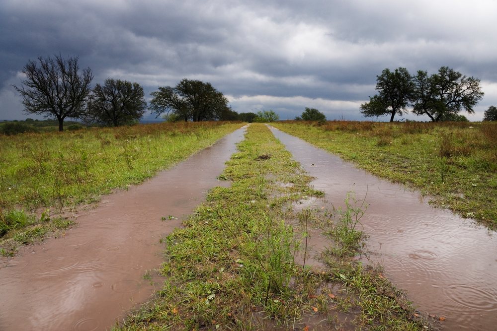 Flooded country road with water puddles and muddy ground under a stormy sky in rural, wildlife, Texas, USA.