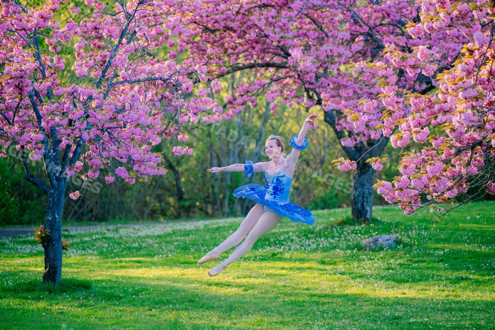 Ballet dancer performing jump under pink