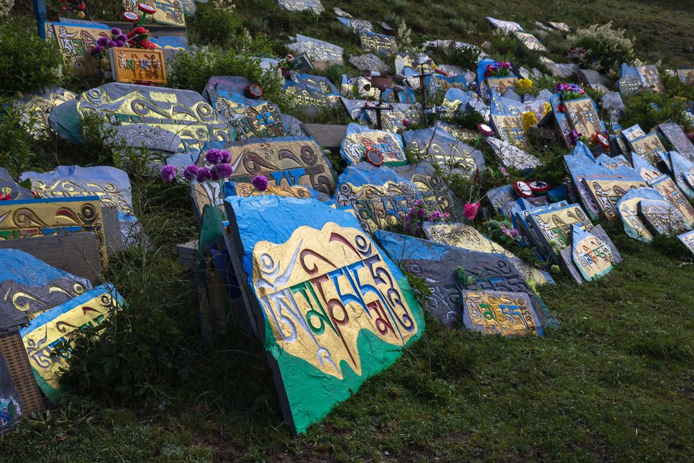 Painted Mani Stones with Tibetan script and purple flowers on a grassy hill slope, China, Tagong, Sichuan Province, People's Republic of China.