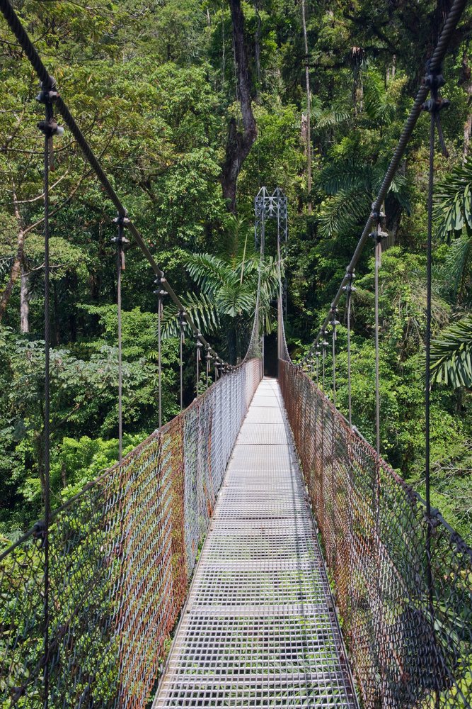Metal suspension bridge with chain-link fencing crosses through dense tropical rainforest, Arenal, Alajuela, Costa Rica.