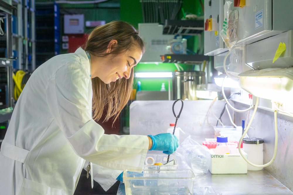 A female scientist wearing a lab coat and gloves conducts scientific research at a laboratory bench, Spain.