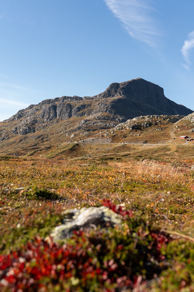 Rocky mountain with autumn vegetation and a hiking trail under a clear blue sky in Norway outdoors.