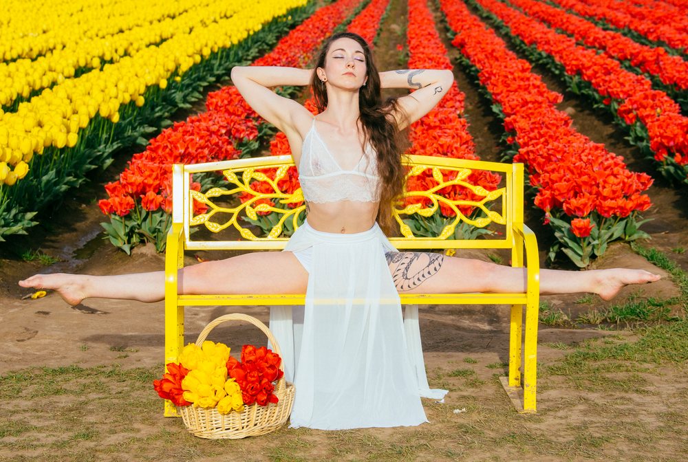 Woman performing splits on a yellow bench beside a basket of yellow and red tulips in a tulip field outdoors, USA.