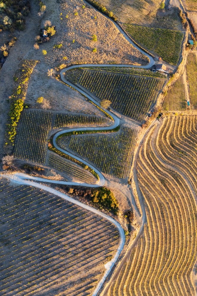 Winding road curves through terraced vineyards and agricultural fields, Landscape, Tokaj, Hungary.