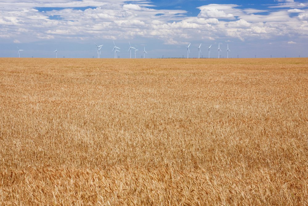 Wind turbines stand behind a large golden wheat field under a partly cloudy sky, Texas, USA.