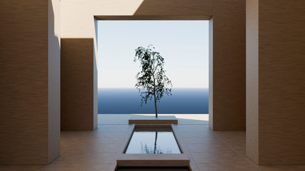 Modern architectural space features a solitary tree centered in a reflecting pool framed by wood panels under clear sky.