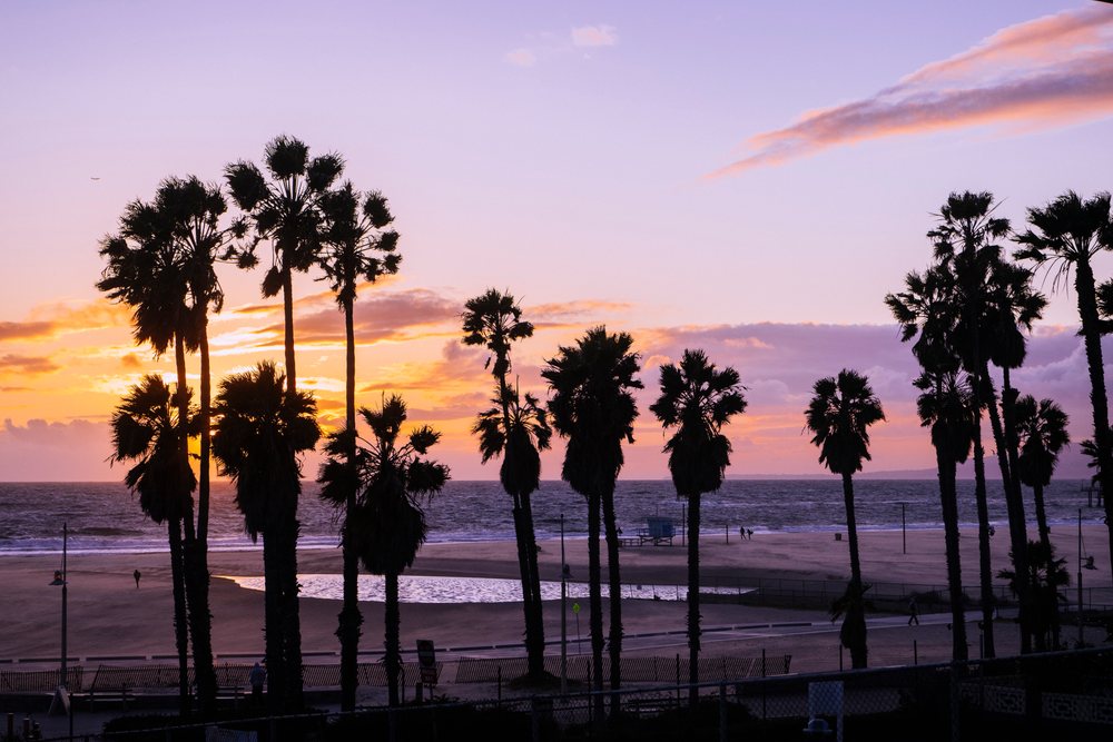 Palm trees silhouette at sunset over the ocean and beach, Venice Beach, CA, USA.