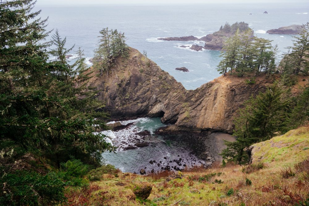 Rocky coastal cliffs with sea caves and evergreen trees overlook ocean waves, Boardman State Scenic Corridor, Oregon, USA.