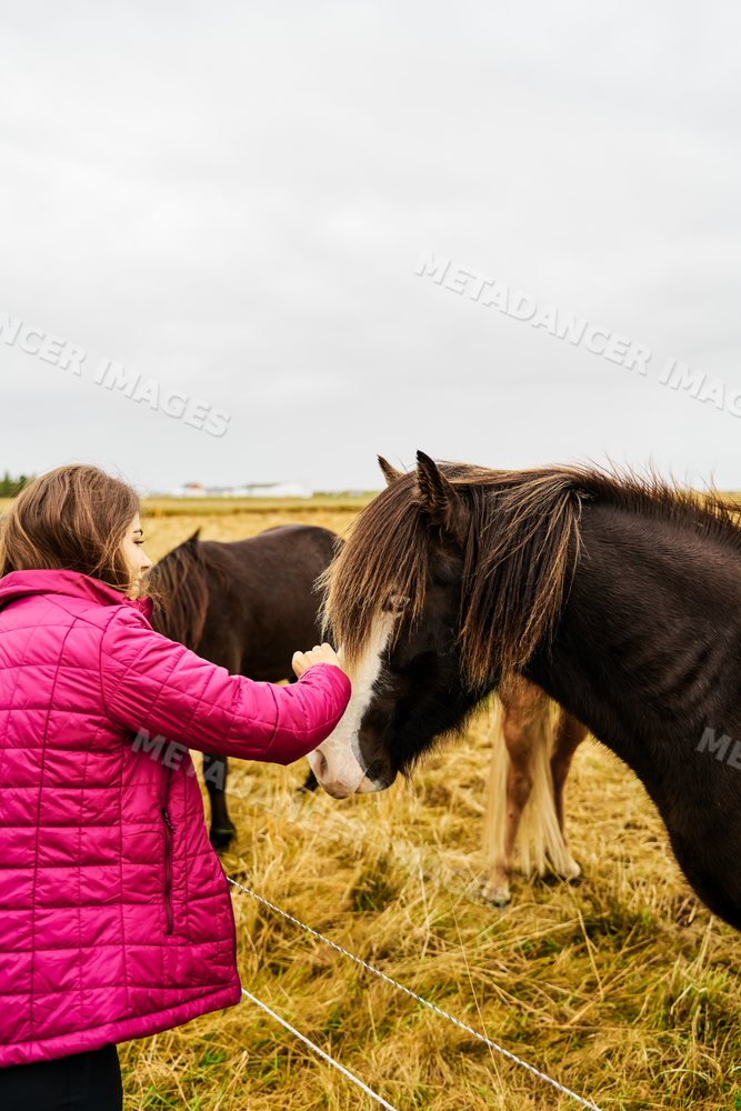 Young white woman pets a horse