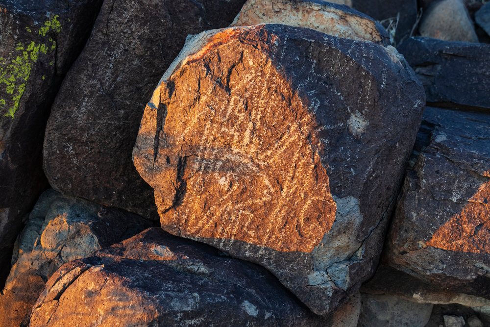 Petroglyphs carved in rock illuminated by Sunset light at three Rivers Petroglyph Site in New Mexico desert, landscape, wildlife, USA.
