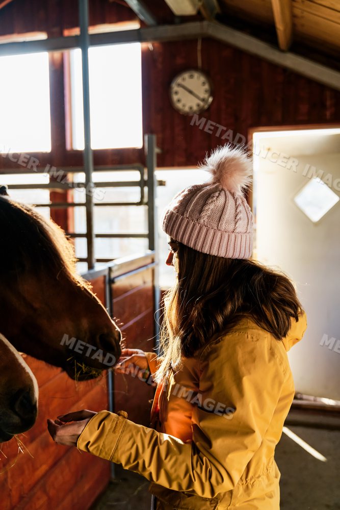 A white woman in winter clothing feeds horses inside a stable