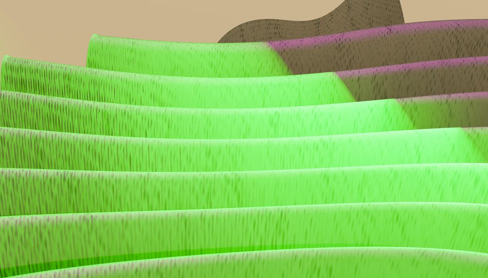 Close-up view of green flower petals with soft purple edges showing natural texture and curved layers.