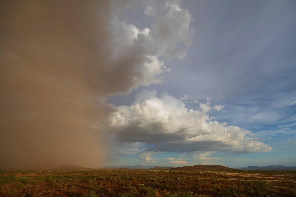 Haboob dust storm advancing over desert landscape, USA under blue sky and clouds, Storm Chasing, Weather, Environmental Issues, Rodeo, Arizona.