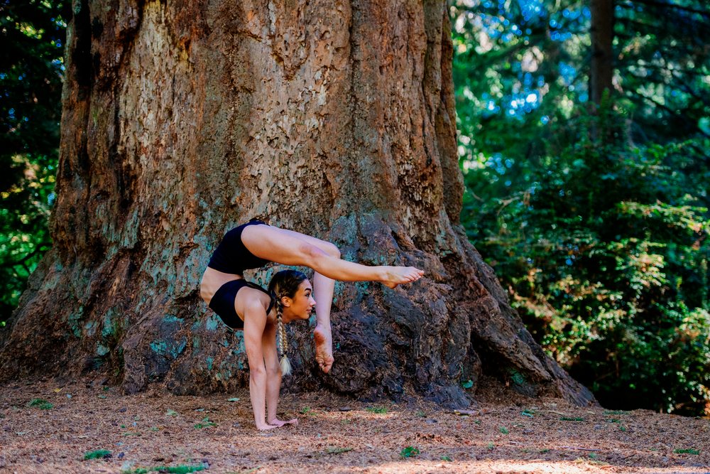 Woman performing a hand balancing contortion pose in front of a large tree trunk in a forest, contortionist, Tacoma, WA, USA.
