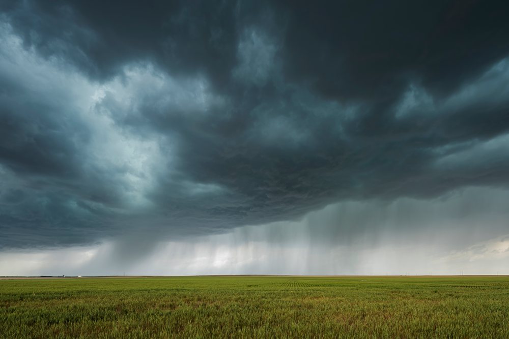 Storm clouds produce Rain Curtains over a flat green field in the Great Plains, Storm Chasing, Weather, Environmental, Denver, Colorado, USA.