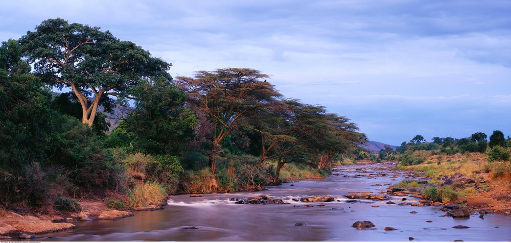 The Mara River flows through a rocky riverbed lined with acacia trees amid savanna vegetation, Kenya, Africa.