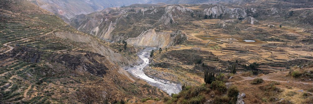Terraced hillsides with visible farming overlooking a river flowing through Colca Canyon, Terraced Landscape Colca Canyon, Peru.