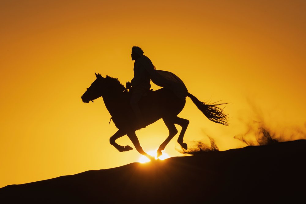 Silhouette of a Berber Horseman riding a horse over a Desert dune at Sunset, Landscape, Lifestyle, Merzouga, Errachidia Province, Morocco.